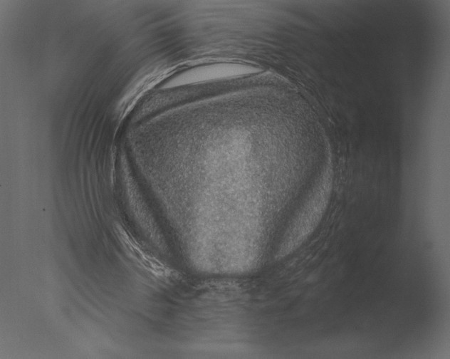 X0000076350194200610201809