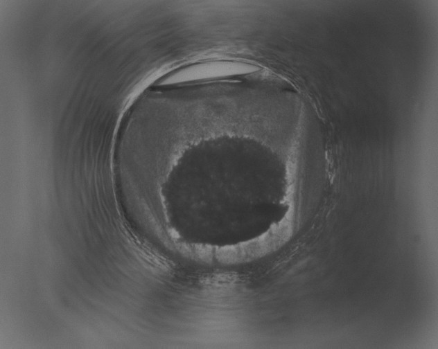 X0000076350196200610201809