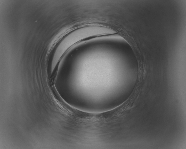 X0000076350197200610201809