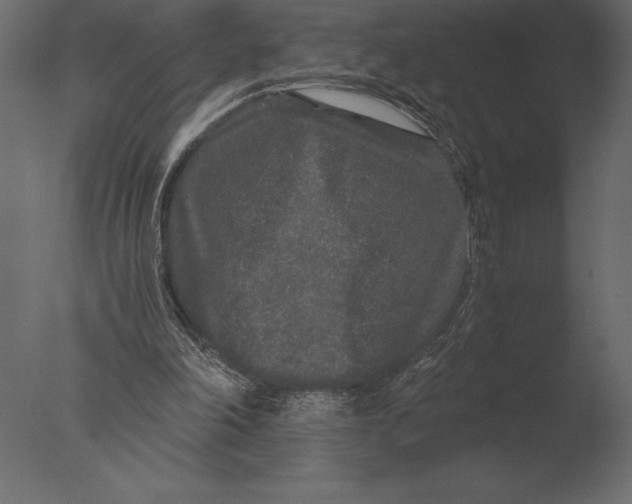 X0000076350198200610201809