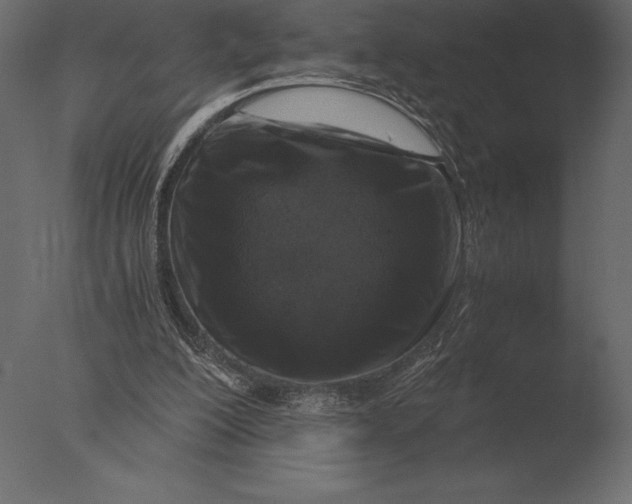 X0000076350200200610201809