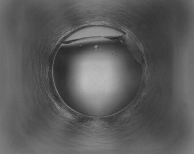 X0000076350201200610201809