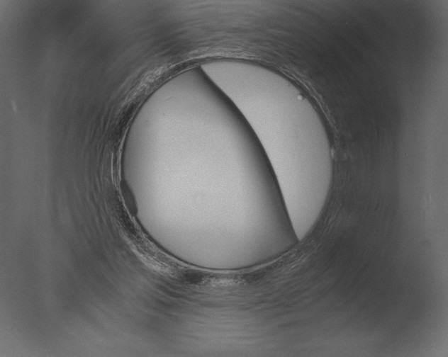 X0000076350205200610201809