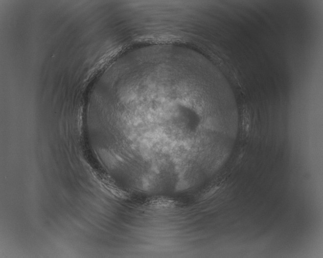 X0000076350206200610201809