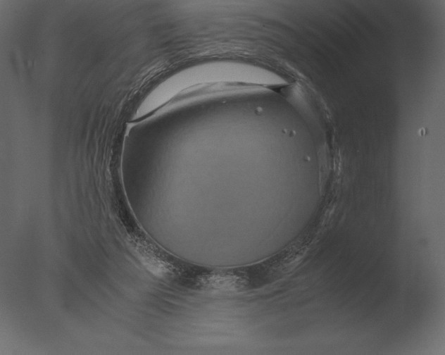 X0000076350209200610201809