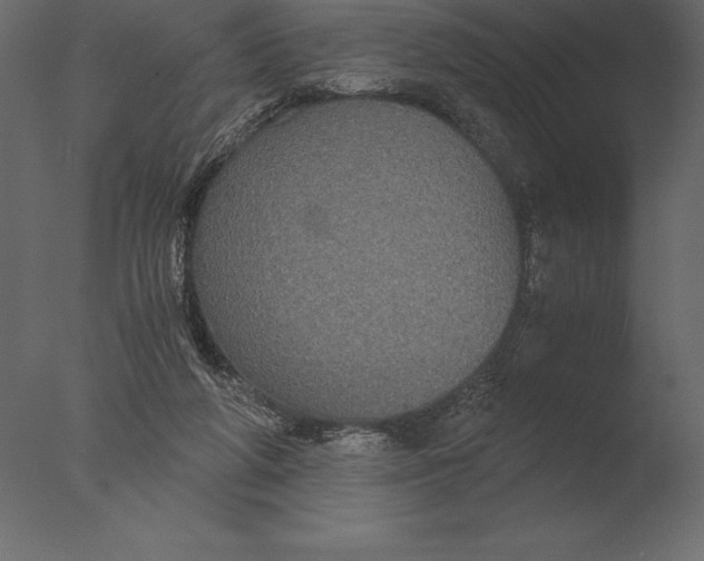 X0000076350210200610201809