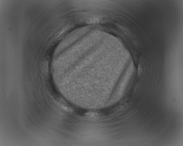 X0000076350211200610201809