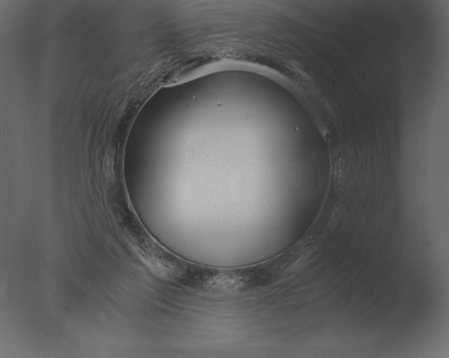 X0000076350213200610201809