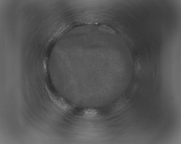 X0000076350214200610201809