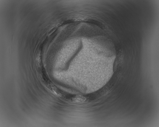 X0000076350215200610201809