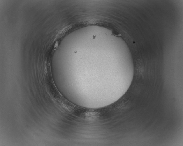 X0000076350216200610201809