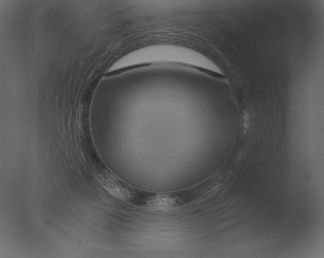 X0000076350217200610201809