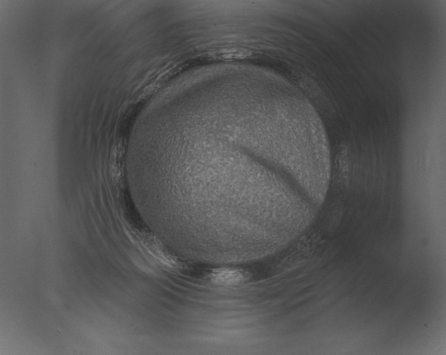 X0000076350218200610201809