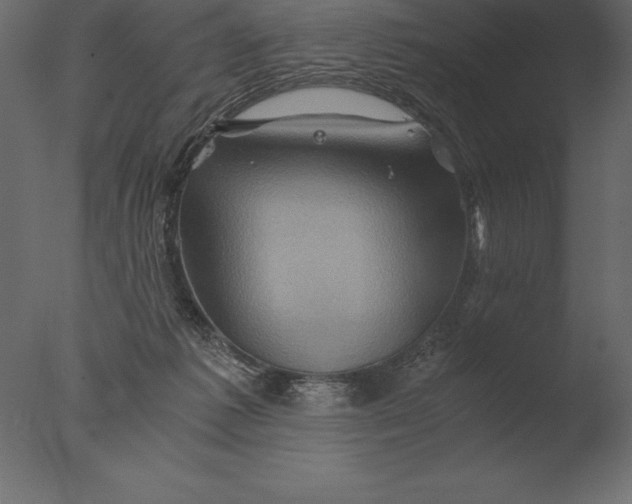 X0000076350221200610201809