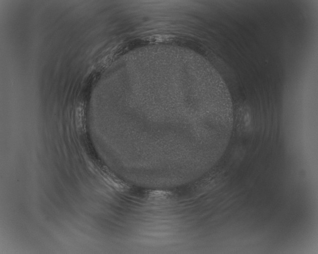 X0000076350222200610201809