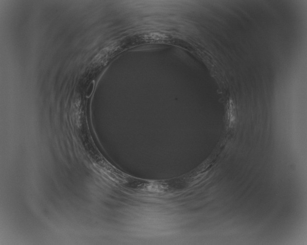 X0000076350223200610201808