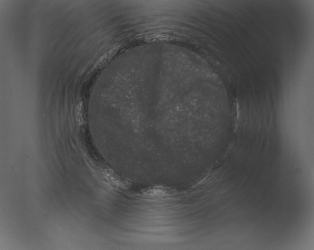 X0000076350224200610201808