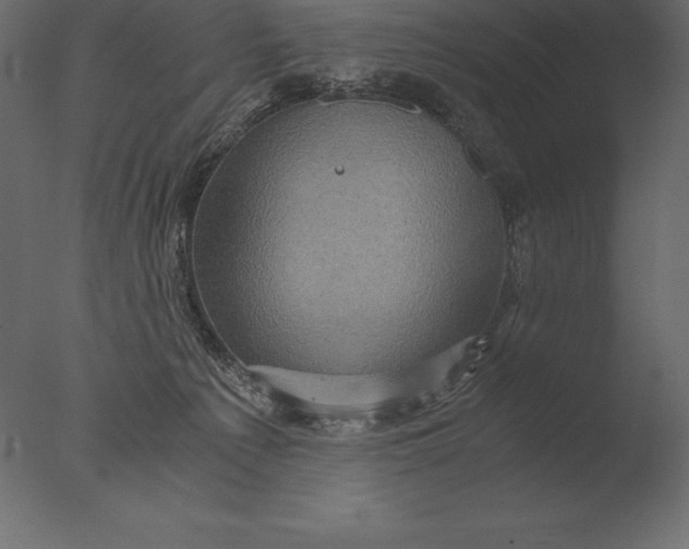 X0000076350225200610201808