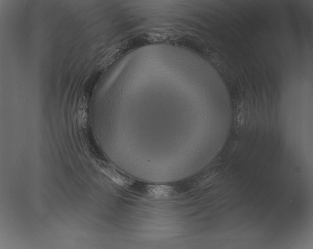 X0000076350226200610201808