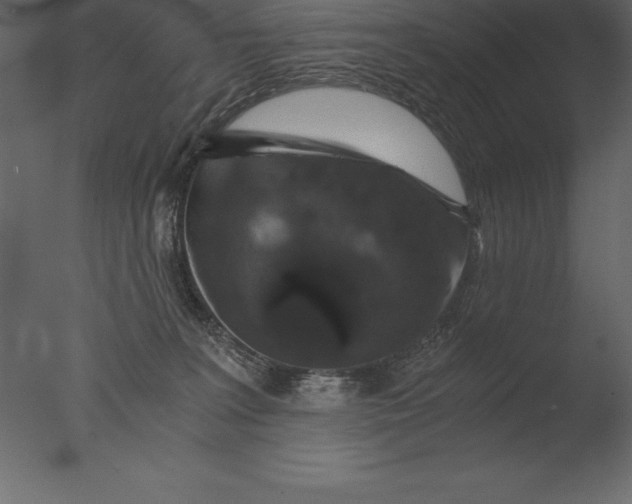 X0000076350227200610201808