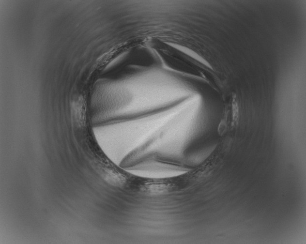 X0000076350228200610201808