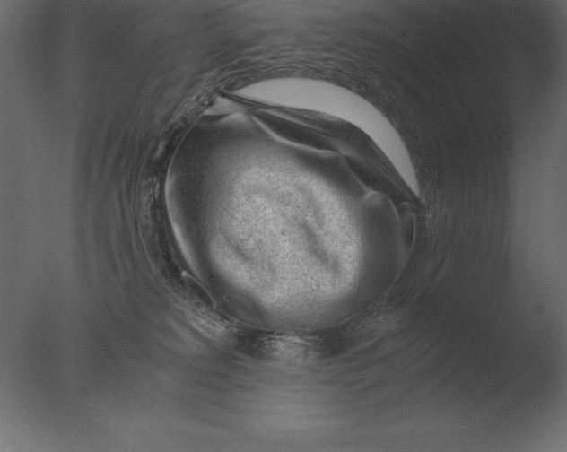 X0000076350229200610201808