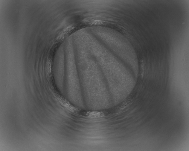 X0000076350230200610201808