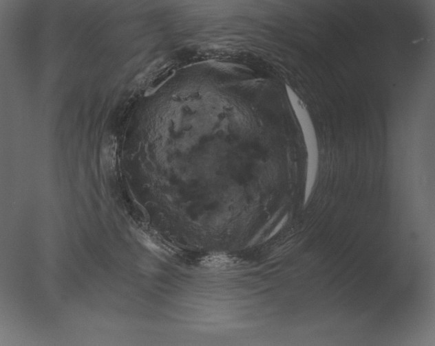 X0000076350231200610201808