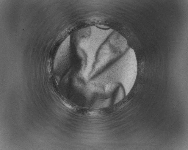 X0000076350232200610201808