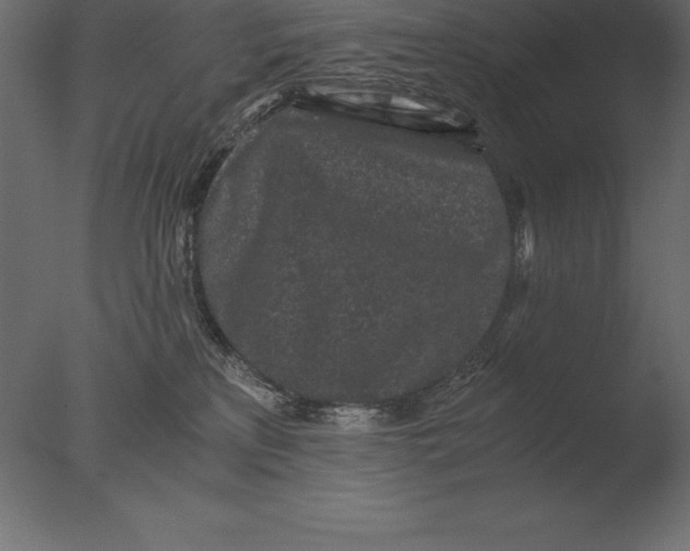 X0000076350233200610201808