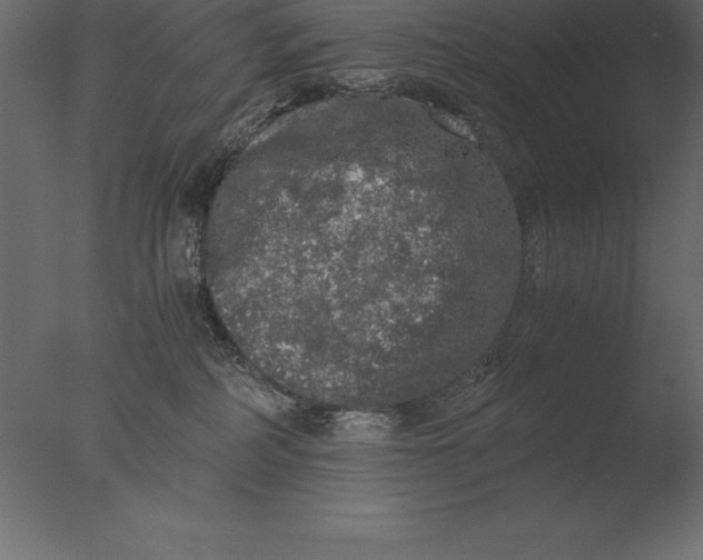 X0000076350234200610201808