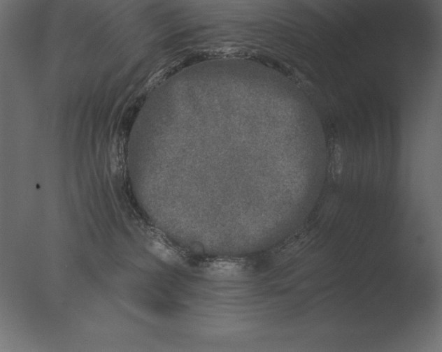 X0000076350236200610201808