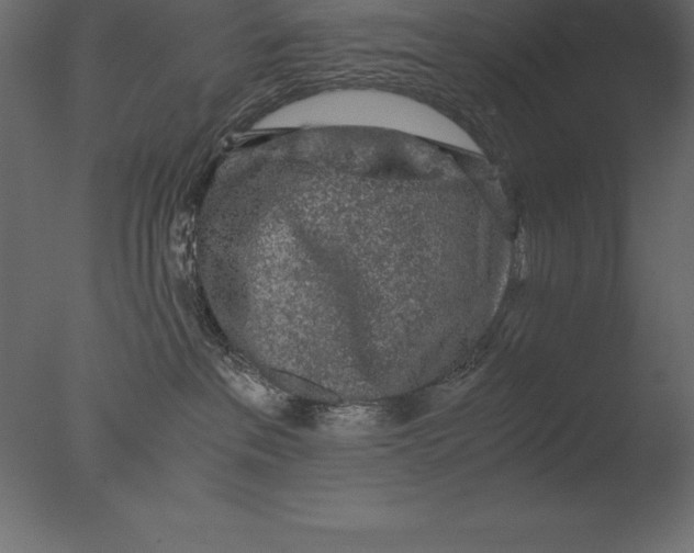 X0000076350237200610201808