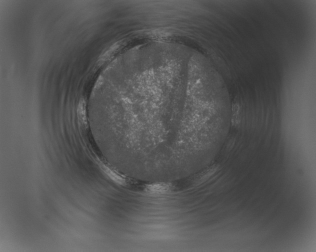 X0000076350238200610201808