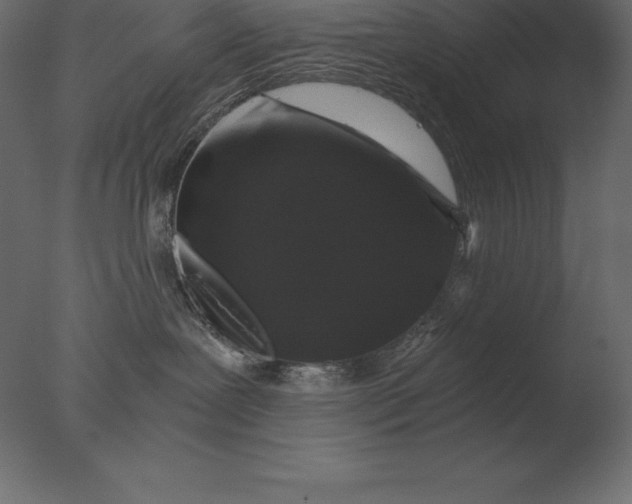 X0000076350239200610201808