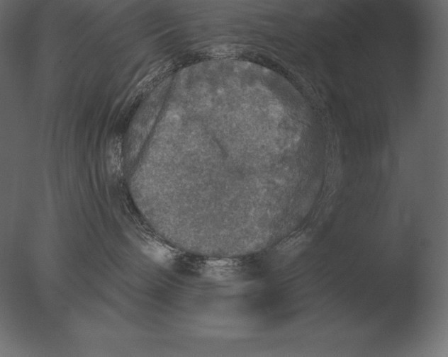 X0000076350240200610201808