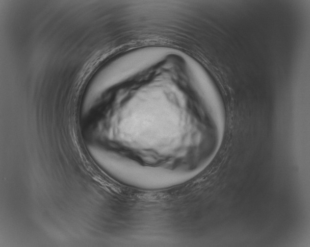 X0000076350241200610201807