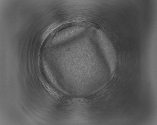 X0000076350242200610201807