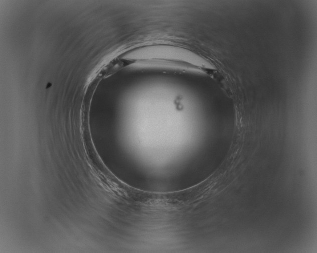 X0000076350244200610201807