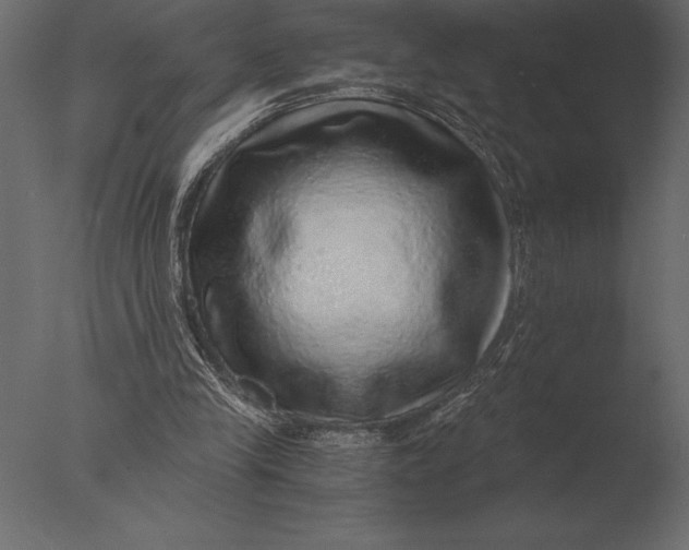 X0000076350245200610201807