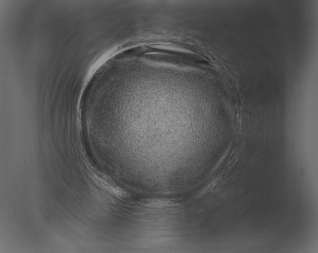 X0000076350246200610201807