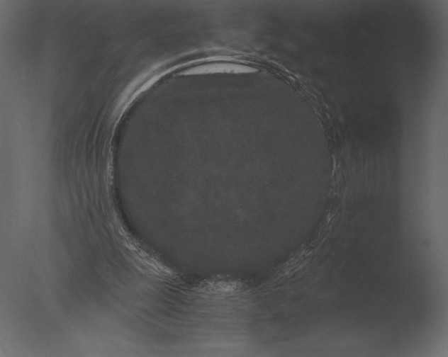 X0000076350247200610201807