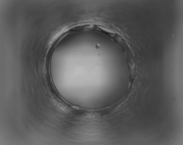 X0000076350248200610201807