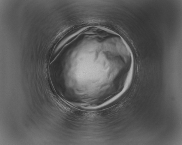 X0000076350249200610201808