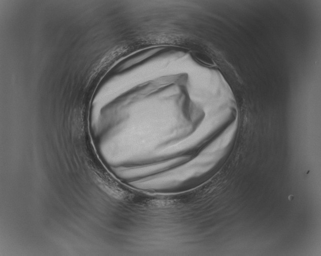 X0000076350250200610201808