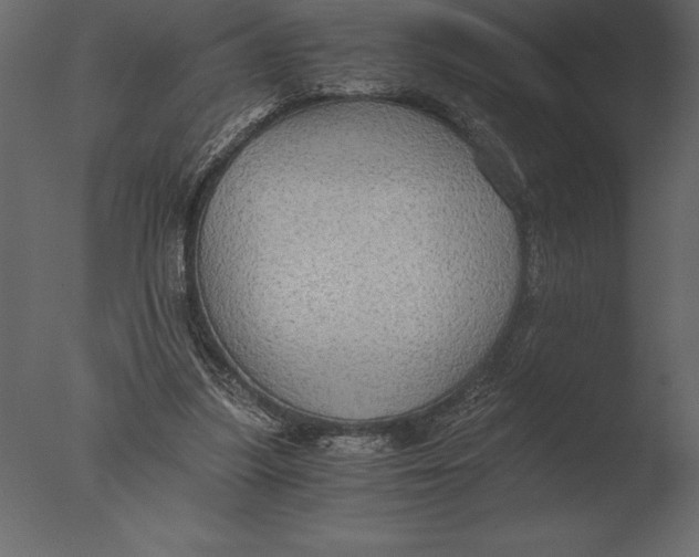 X0000076350251200610201808