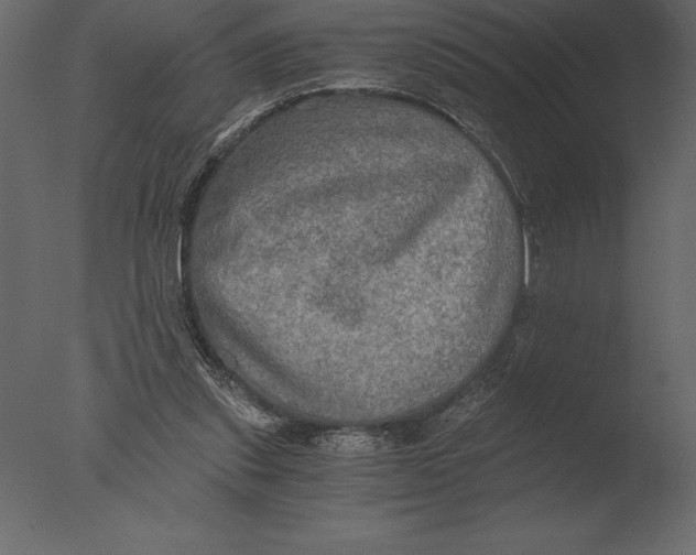 X0000076350253200610201808