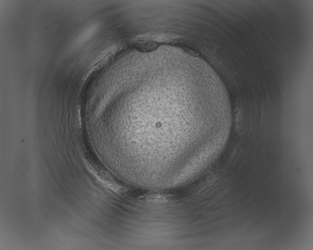 X0000076350254200610201808