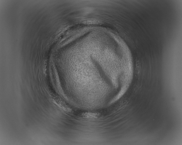 X0000076350255200610201808