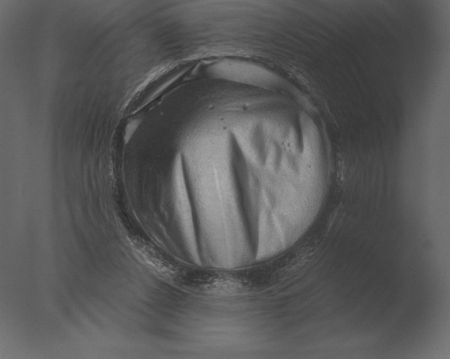 X0000076350256200610201808